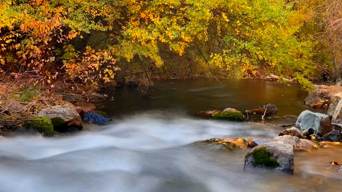 How to Find the Right Therapist in Murray, UT (Without Guessing)
