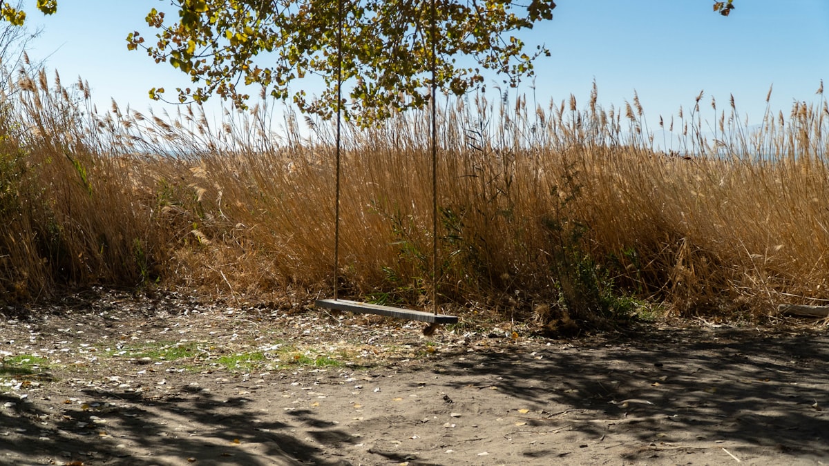 How to Grieve a Breakup When Everyone Says You're Better Off