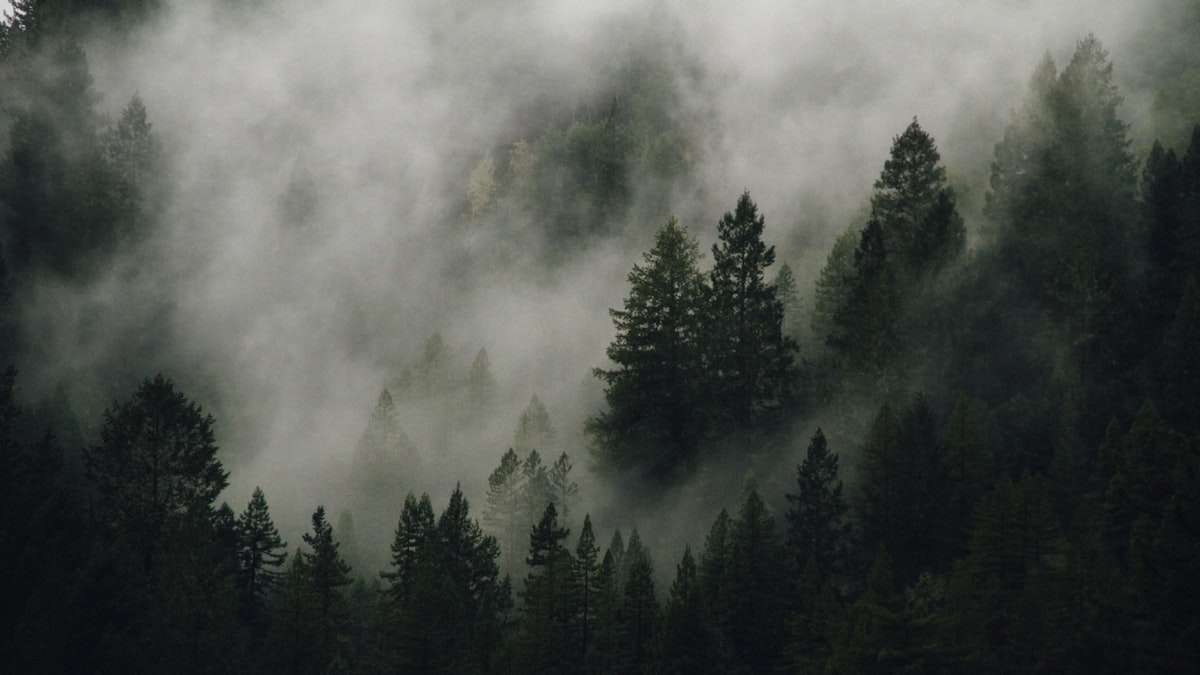 The Difference Between Grieving a Breakup and Grieving a Death