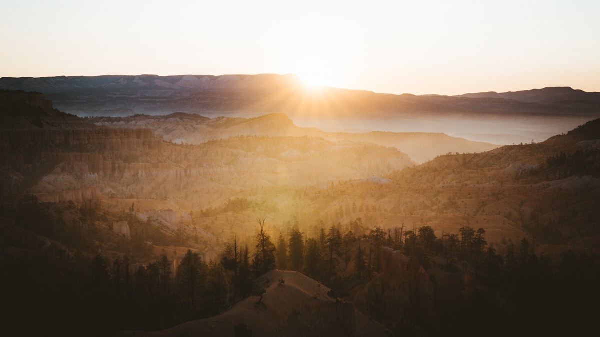 How to Know If You Need Grief Therapy After a Breakup